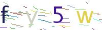 Verify Code