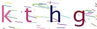 Verify Code
