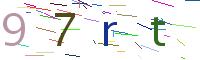 Verify Code