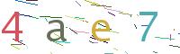 Verify Code