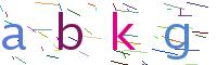 Verify Code