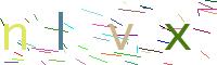 Verify Code