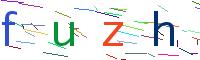 Verify Code