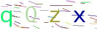 Verify Code