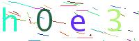 Verify Code