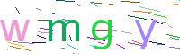 Verify Code