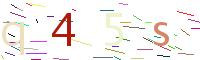 Verify Code