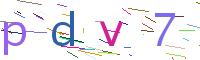 Verify Code