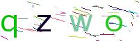 Verify Code