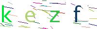 Verify Code
