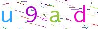 Verify Code