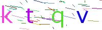 Verify Code