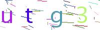 Verify Code