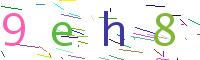 Verify Code