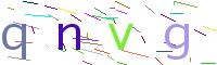 Verify Code