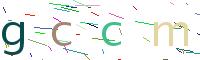 Verify Code
