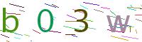 Verify Code