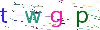 Verify Code