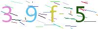 Verify Code