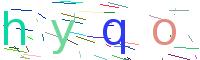Verify Code