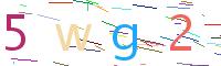 Verify Code