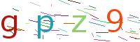 Verify Code