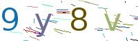 Verify Code