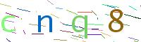 Verify Code
