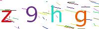 Verify Code