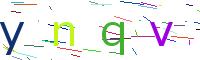 Verify Code
