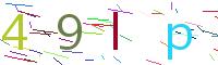 Verify Code