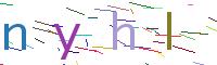 Verify Code