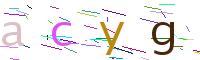 Verify Code