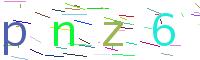 Verify Code