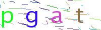 Verify Code