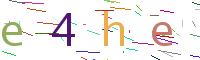 Verify Code