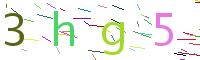 Verify Code
